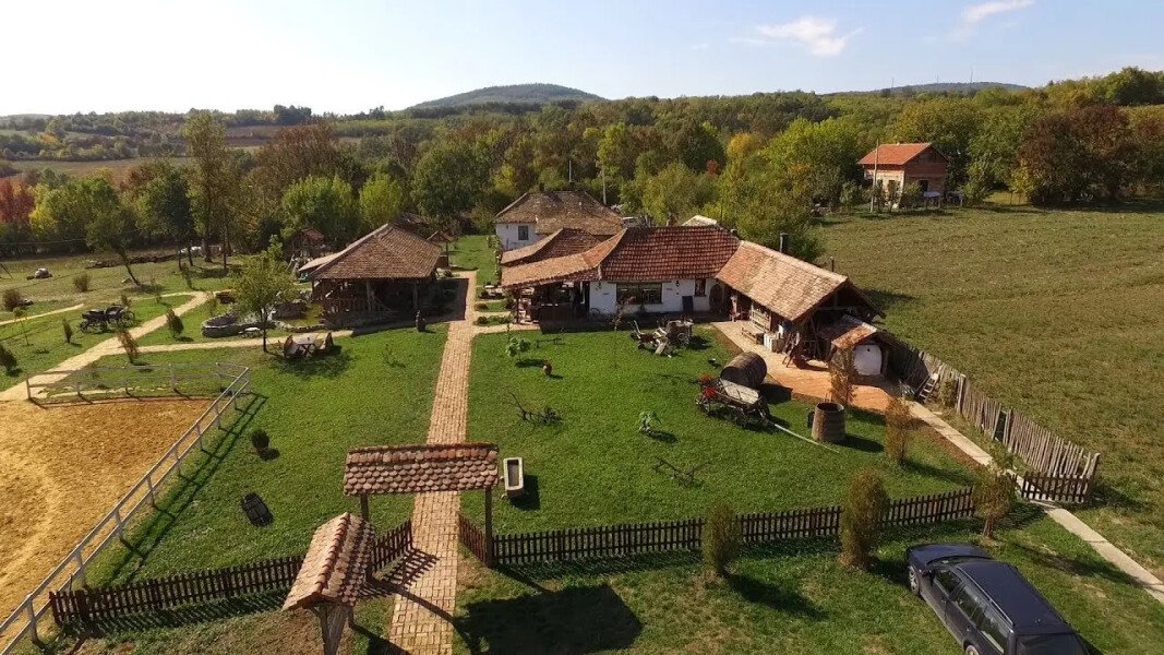 Amerić - Slika 1